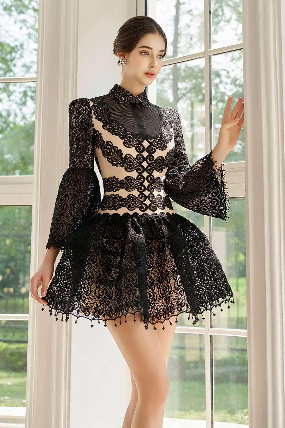 Emberly Fit and Flare Flute Sleeved Mesh Lace Mini Dress