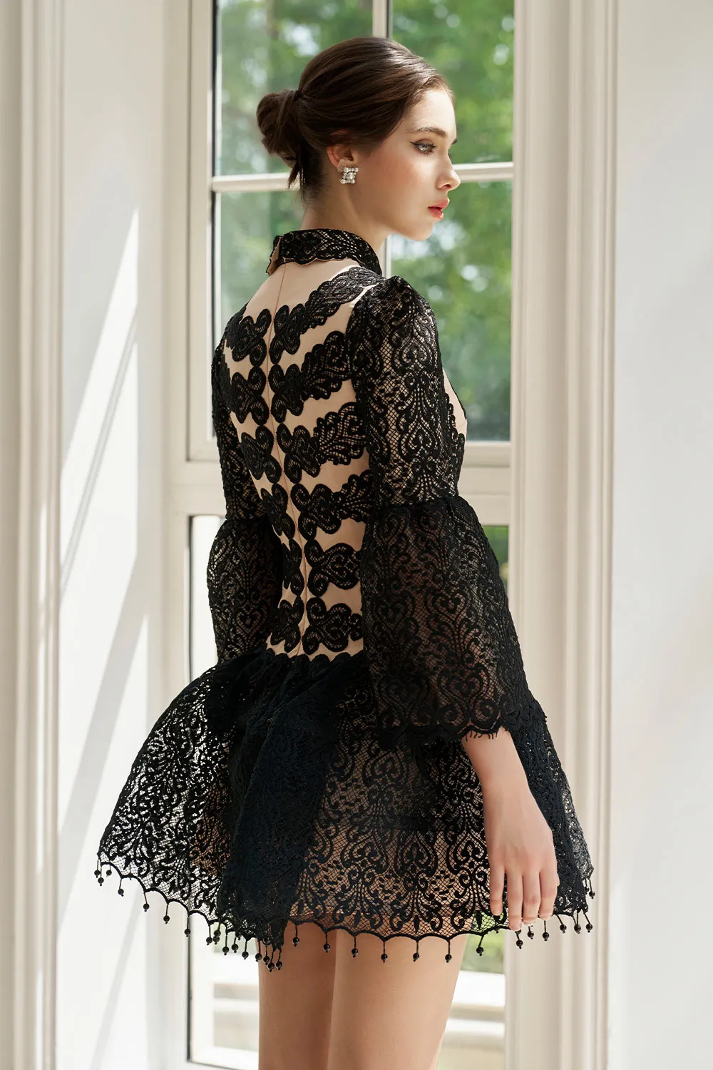 Emberly Fit and Flare Flute Sleeved Mesh Lace Mini Dress