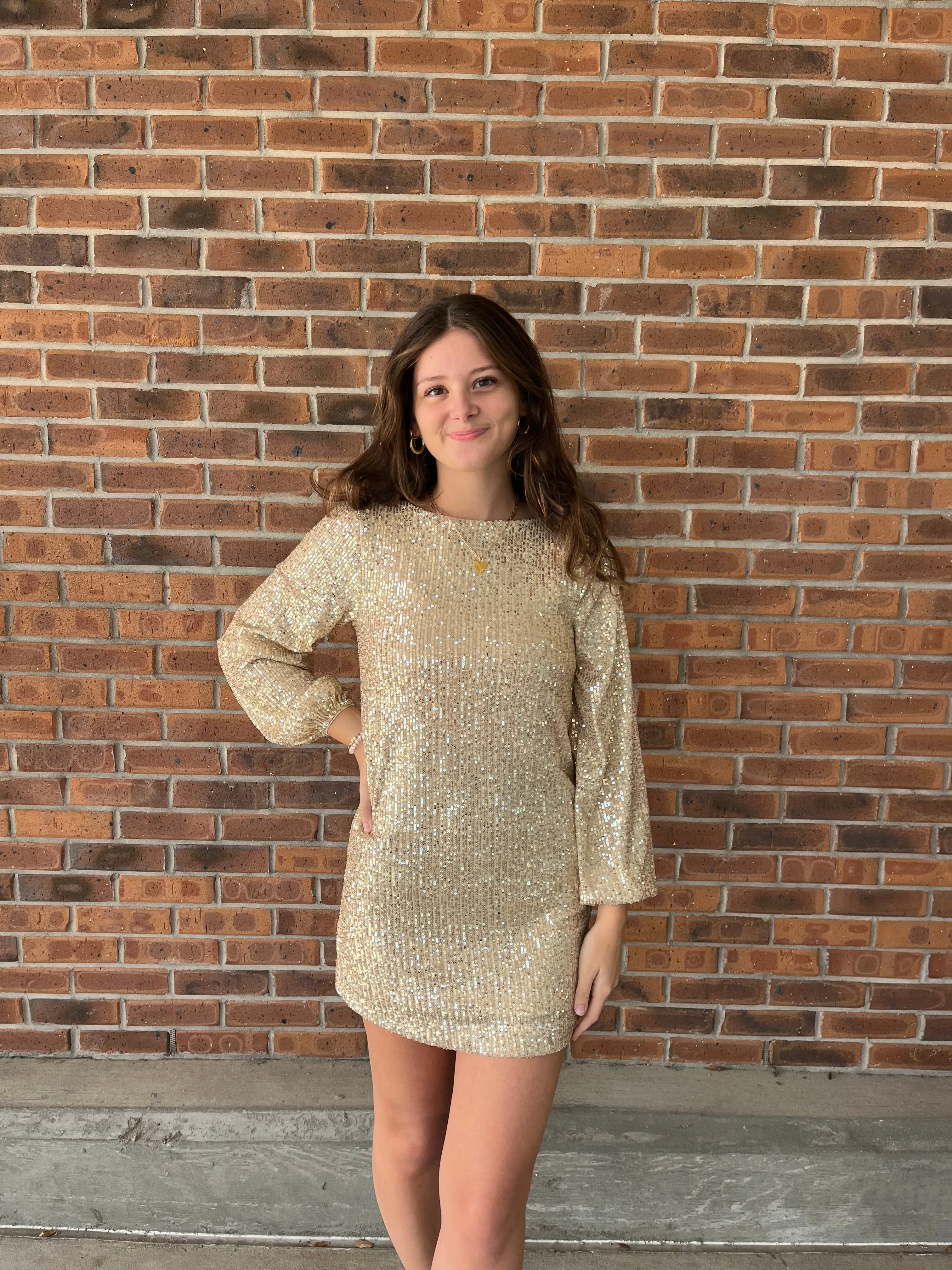 Z Supply Andromeda Sequin Dress